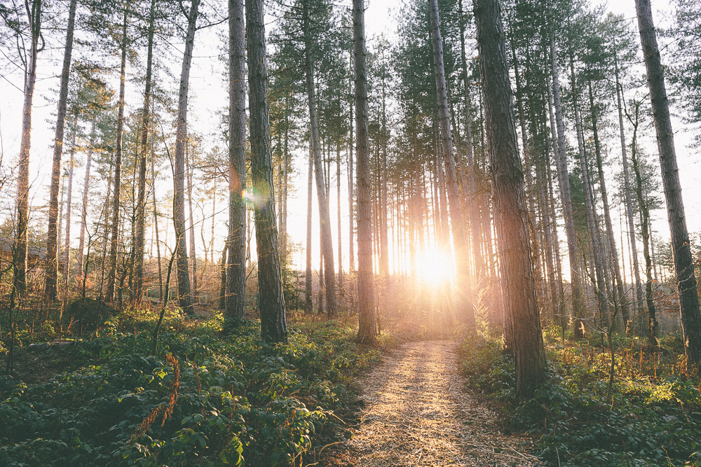 Getting Lost by Scuffins Photography | www.scuffinsphotography.com Centre Parcs 001 by Chris Scuffins Getting Lost Scuffins Photography | http://www.scuffinsphotography.com