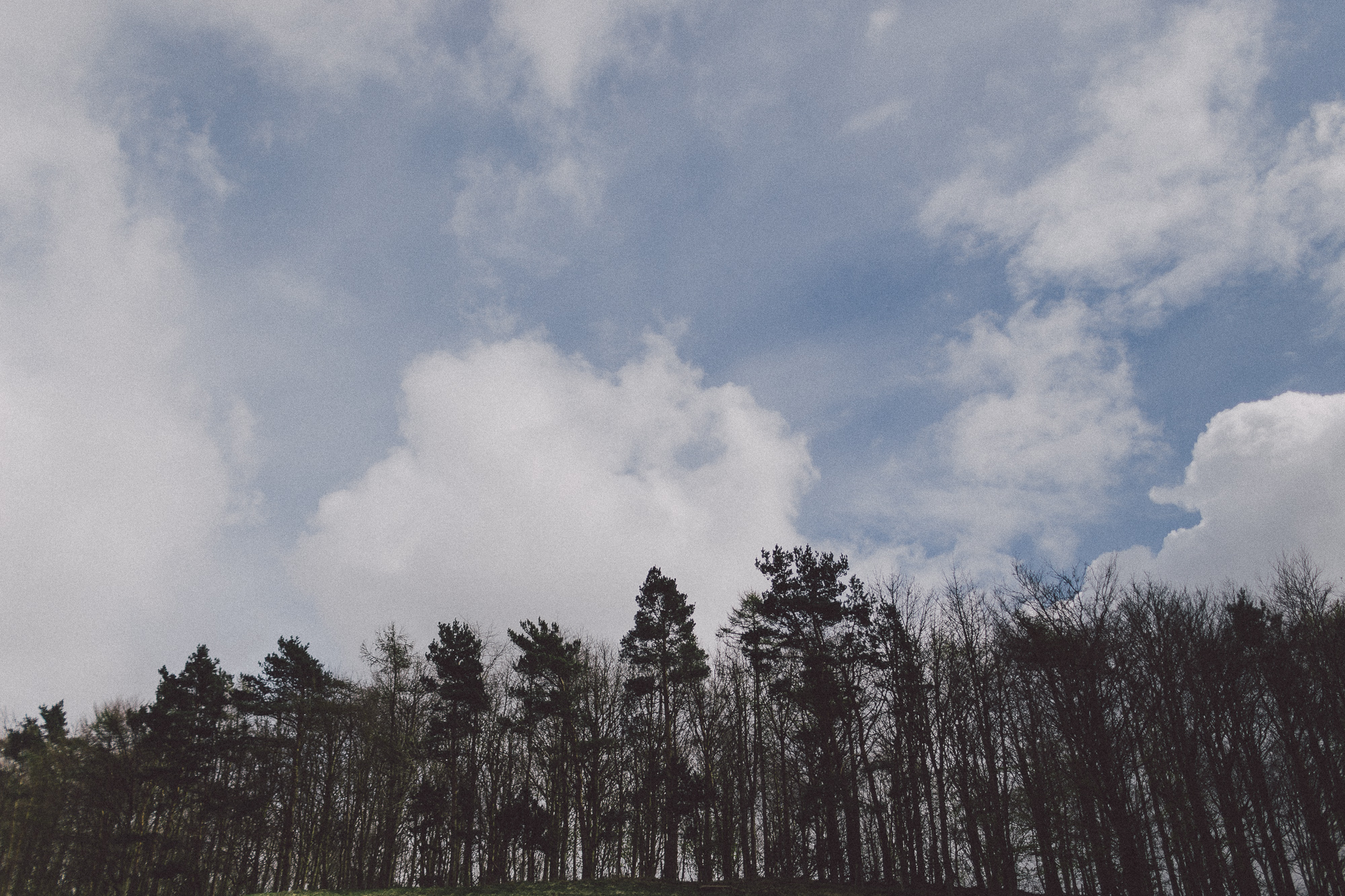 Yorkshire Countryside Dog Walking Engagement Dave + Vicky Scuffins Photography 001